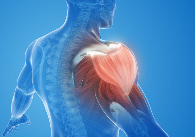 肩の痛みの正体は？五十肩と石灰化の違いをわかりやすく解説